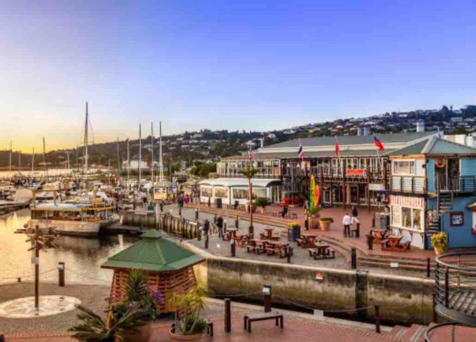 Perfect Knysna Getaway - Little Nest Studioアパートメント エクステリア 写真